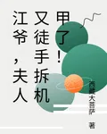 江爺，夫人又徒手拆機甲了！ 封面