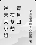 逆天大小姐，茯苓劫，青月歸 封面