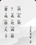 雪地撿太子？我把病嬌訓成狗 封面