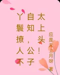丫鬟撩人不自知，公子太上頭！ 封面