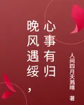 晚風遇綏，心事有歸 封面