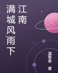 滿城風雨下江南 封面