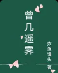 曾幾遙霽 封面
