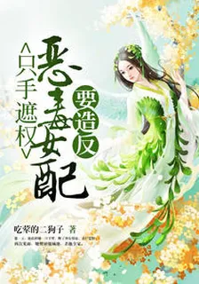 隻手遮權：惡毒女配要造反華林兒許生 封面