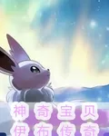 神奇寶貝伊布傳奇 封面