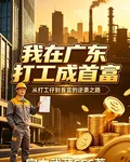 我在廣東打工成首富 封面
