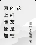 網上隨便加的好友是校花 封面