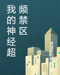 我的神經超頻禁區 封面