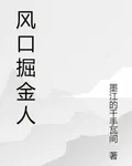風口掘金人 封面