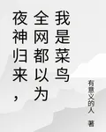 夜神歸來，全網都以爲我是菜鳥 封面