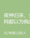 夜神歸來，全網都以爲我是菜鳥 封面