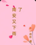 南安又下雨了 封面