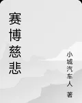 賽博慈悲 封面