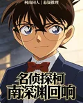 名偵探柯南深淵迴響 封面