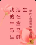 我的牛馬生活在盒馬鮮生 封面