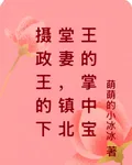 攝政王的下堂妻，鎮北王的掌中寶 封面