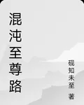 混沌至尊路 封面
