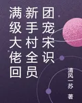 滿級大佬回新手村全員團寵宋識 封面