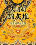大明朝：錦灰堆 封面