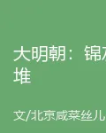 大明朝：錦灰堆 封面