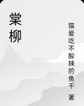 棠柳 封面