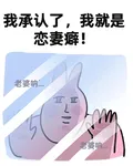我承認了，我就是戀妻癖！ 封面