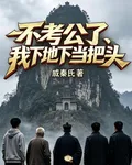 不考公了，我下地下當把頭 封面