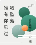 唯有你見過我墜落 封面