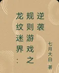 龍紋迷界：規則遊戲之逆襲 封面