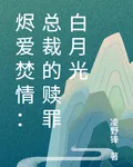 燼愛焚情：總裁的贖罪白月光 封面