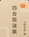 四合院謎案 封面