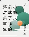 死對頭重生後成了我的小嬌夫 封面
