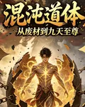 混沌道體：從廢材到九天至尊 封面