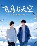 飛鳥與天空 封面