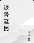 鐵骨流民 封面
