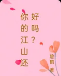 你的江山還好嗎？ 封面