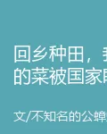 回鄉種田，我的菜被國家盯上了 封面