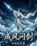 成風問劍 封面