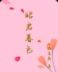 昭君暮色 封面