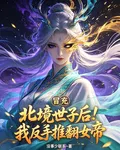 冒充北境世子後！我反手推翻女帝 封面