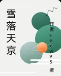 雪落天京 封面