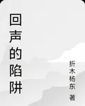 回聲的陷阱 封面