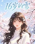 16歲的雪 封面