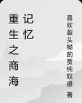 重生之商海記憶 封面