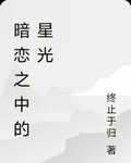暗戀之中的星光 封面