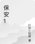 保安1 封面