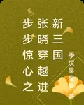 步步驚心之張曉穿越進新三國 封面