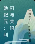 她紀元：利刃與共鳴 封面