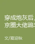 穿成炮灰後，京圈大佬跪求我給名分 封面