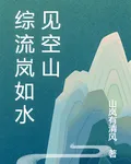 綜流嵐如水見空山 封面